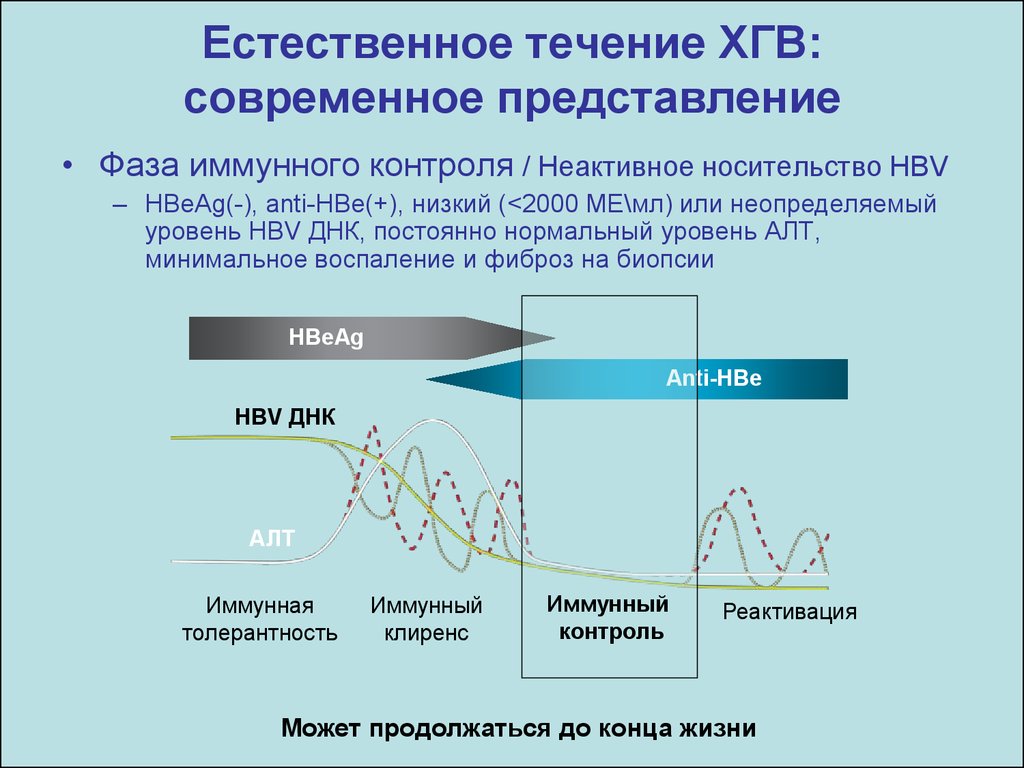 Установившееся течение жизни