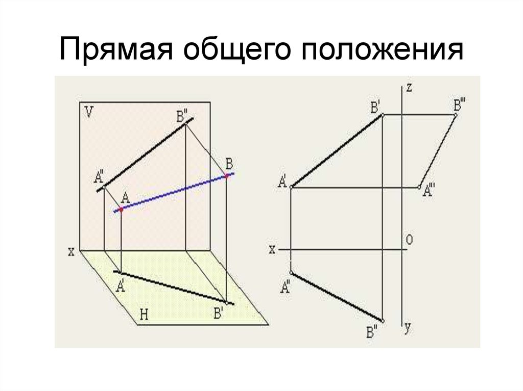 Плоскость номер. Прямая общего положения Начертательная геометрия. Прямая общего положения проецируется на. Прямая общего положения и её проекции. Что называется прямой общего положения.