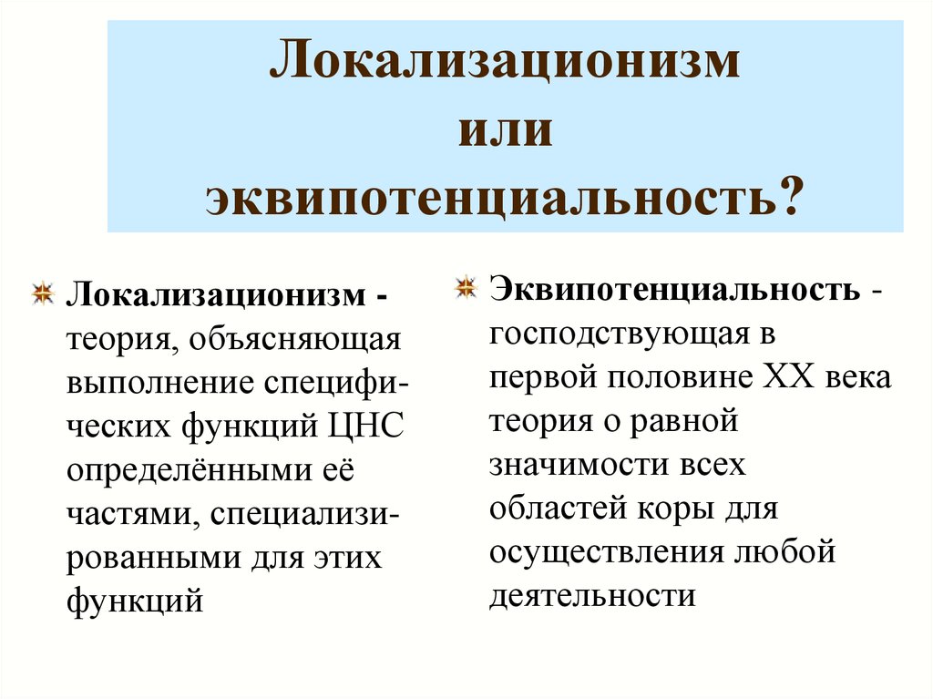 Психоморфологическое направление и концепция эквипотенциальности мозга презентация