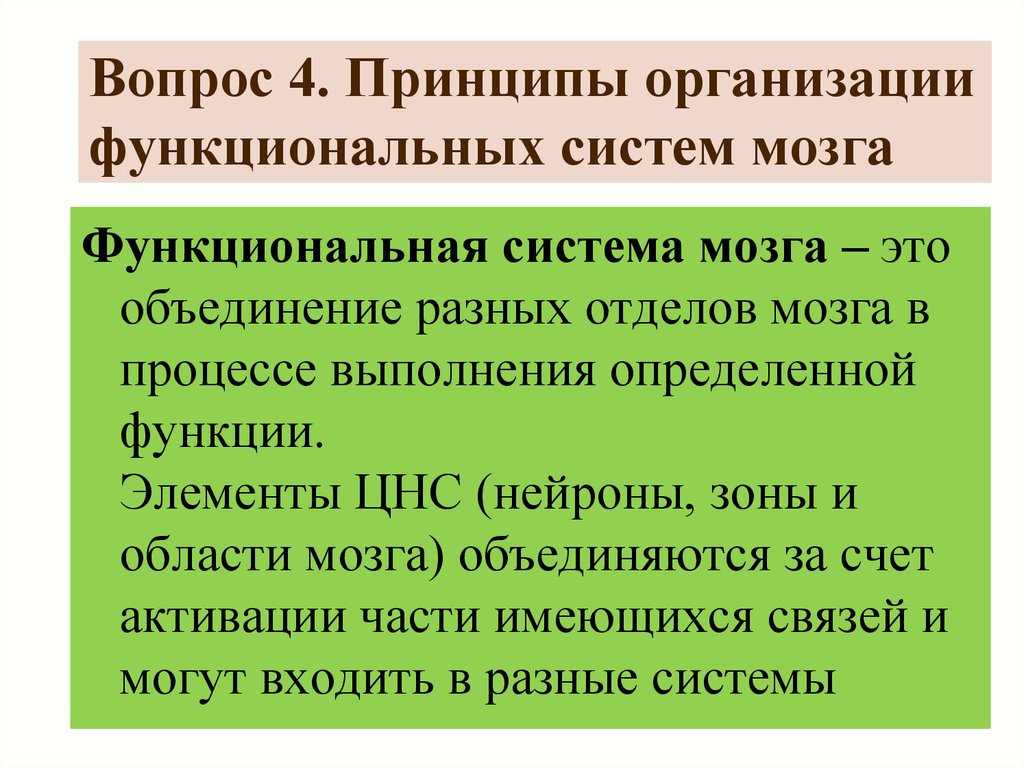 Принцип 4 б. Основы функциональной организации двигательных систем мозга. Принципы функциональной организации человеческого мозга.. Структурно-функциональная организация головного мозга. Основные принципы структурно-функциональной организации мозга..