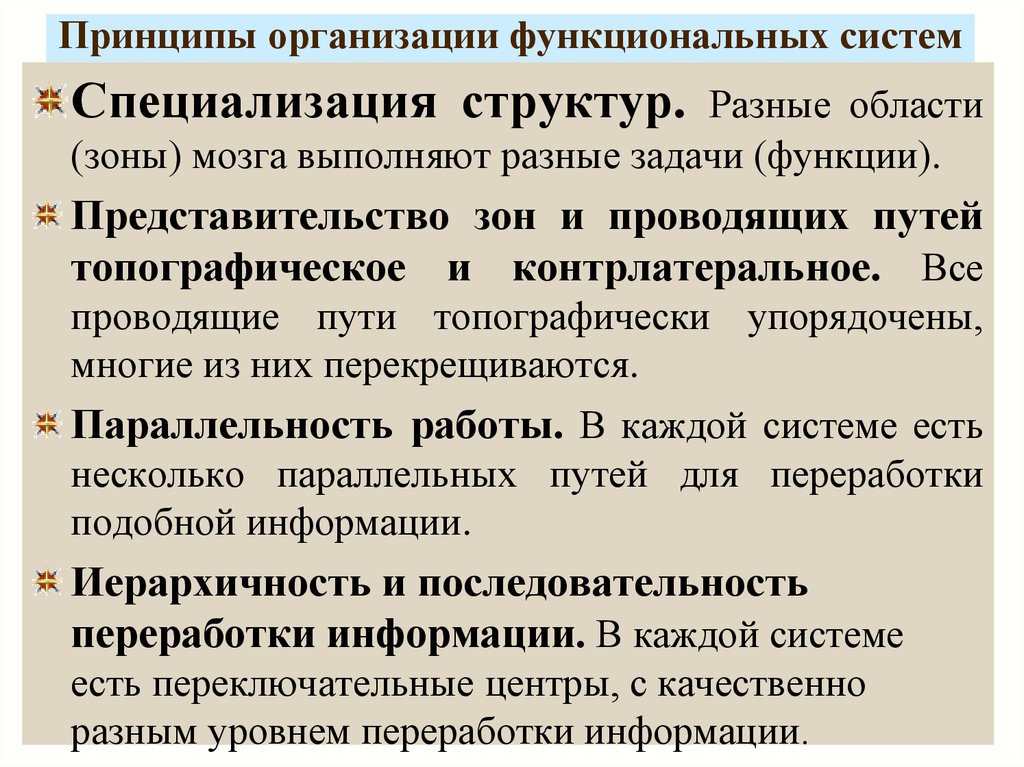 1 функциональный принцип. Принципы функциональных систем. Принципы работы функциональной системы. Принципы организации функциональных систем мозга. Организационно-функциональные принципы и функциональные принципы.