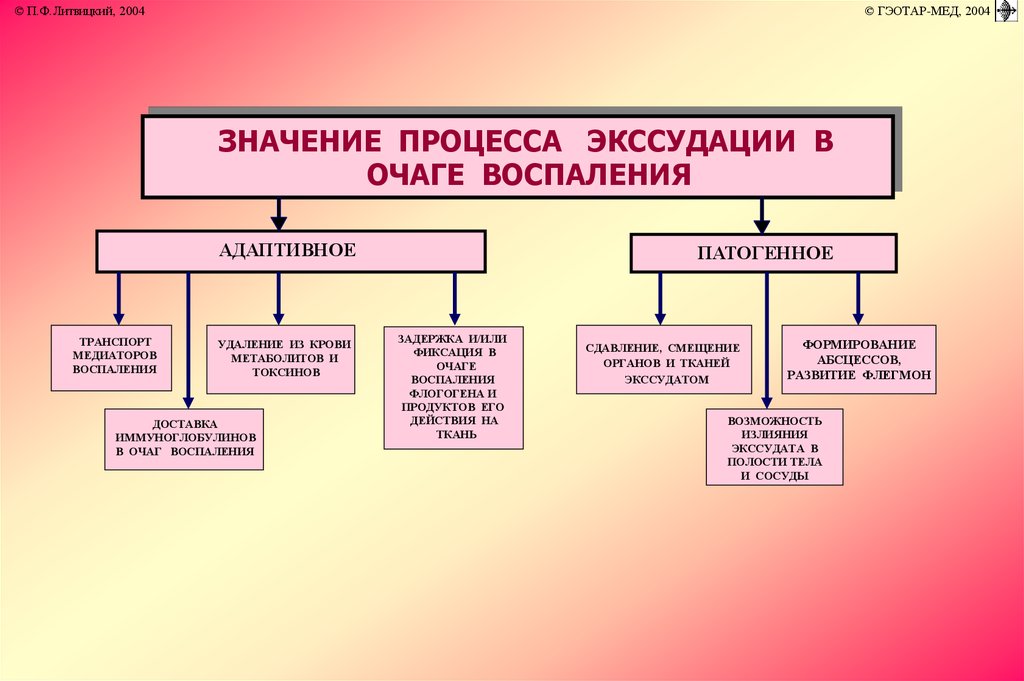 Какое значение этого процесса. Схема механизмов экссудации в очаге воспаления. Процесс экссудации. Значение процесса экссудации в очаге воспаления. Механизм экссудации в очаге воспаления.