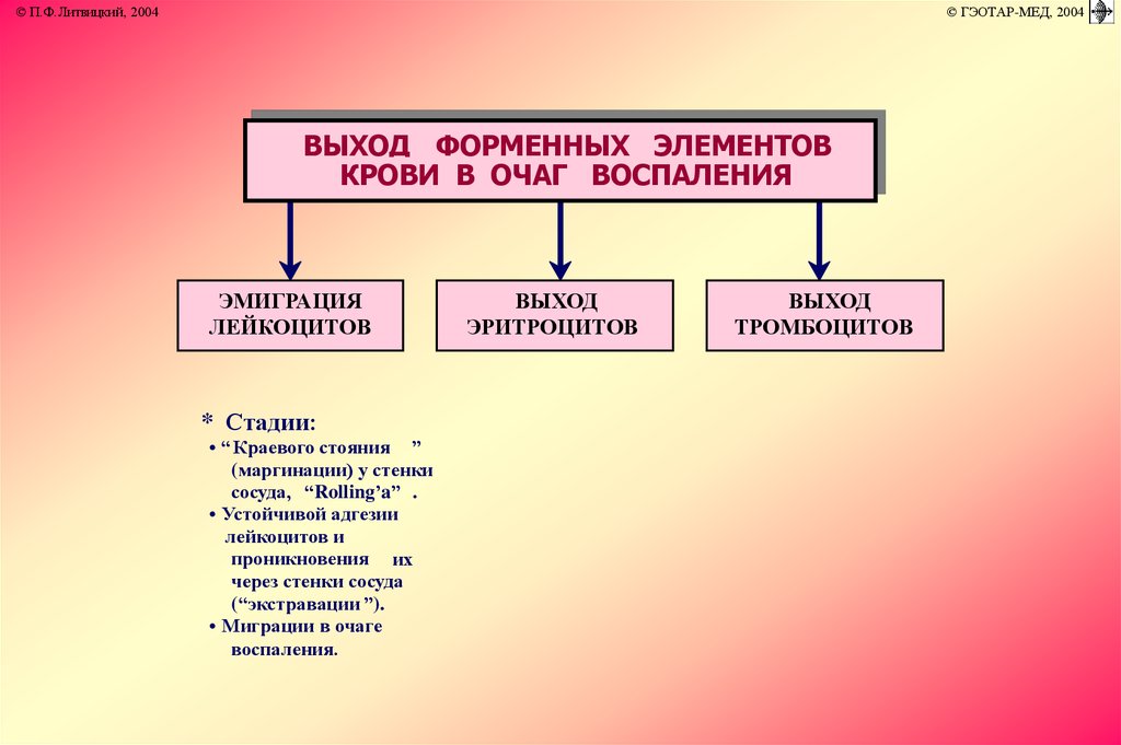 Последовательность выхода. Этапы эмиграции лейкоцитов в очаг воспаления. Схема миграции лейкоцитов в очаг воспаления. Миграция лейкоцитов в очаг воспаления. Последовательность миграции лейкоцитов в очаг воспаления.