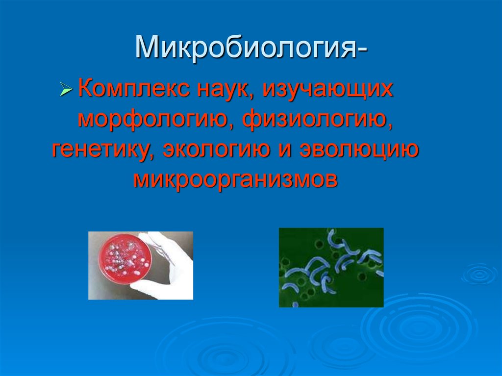 Микробиология это наука изучающая. Микробиология комплекс биологических наук изучающих. Морфология и физиология в микробиологии это?. Микроорганизмы и окружающая среда микробиология презентация. Экология генетики микробиология.