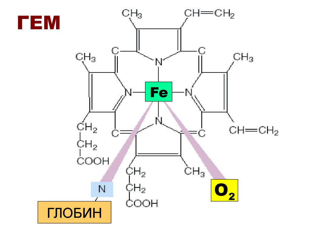 Молекулярная со