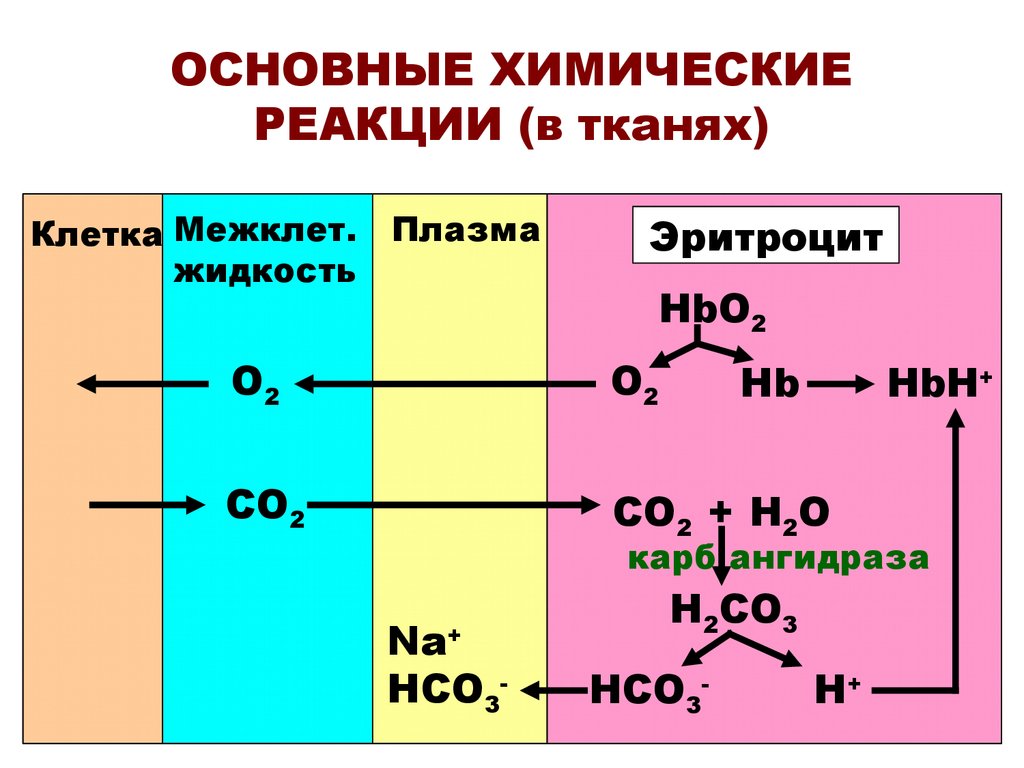 Основная химия. Химические реакции. Основные химические реакции. Основные хим реакции. Основные реакции в химии.