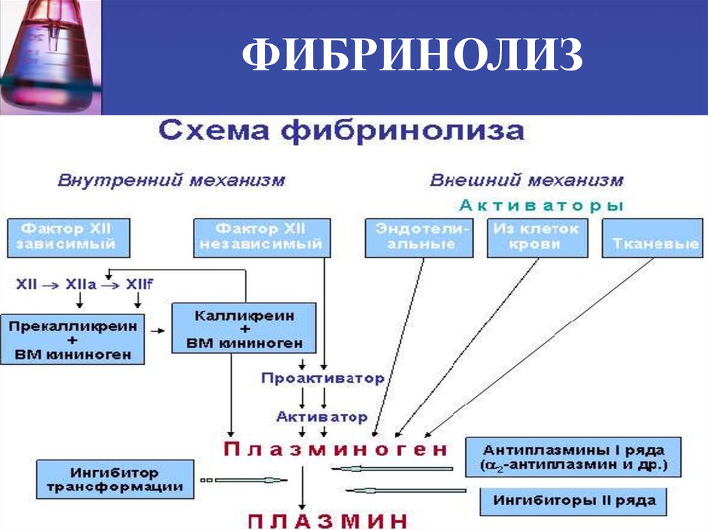 Схема фибринолиза физиология