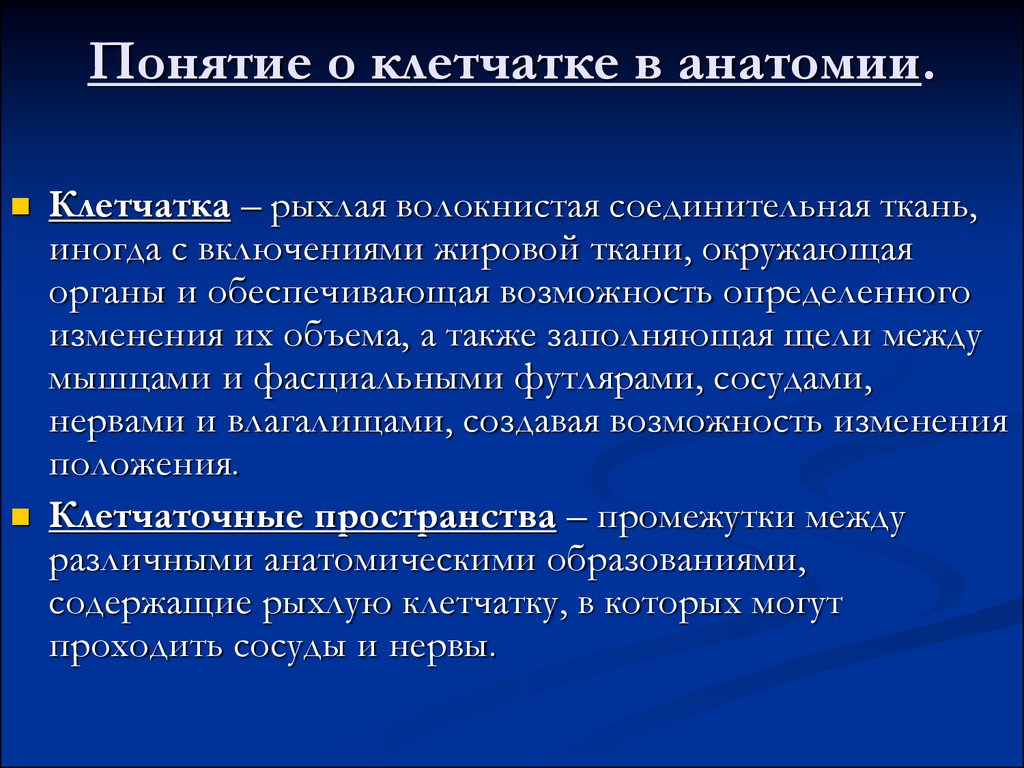 Содержание клинической анатомии