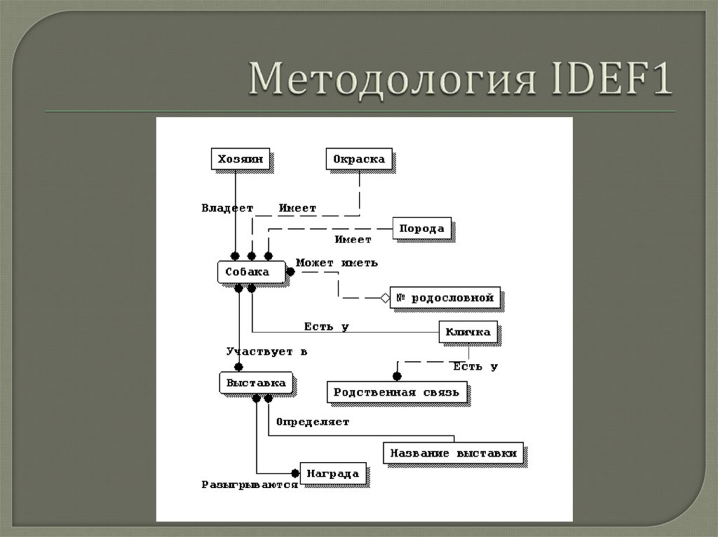 В методологии idef5 изображение является