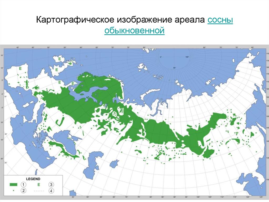 Картографирование ареалов презентация