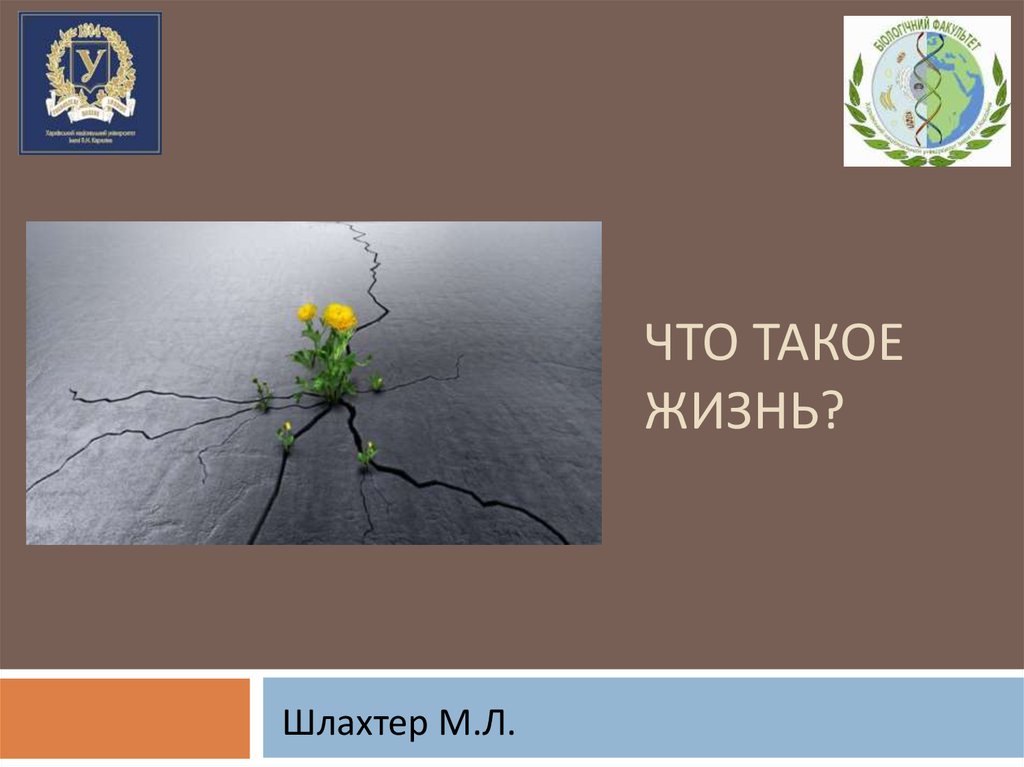 Мере живет. Жизнь. Жизнь для презентации. Жи. Тема для презентации жизнь.