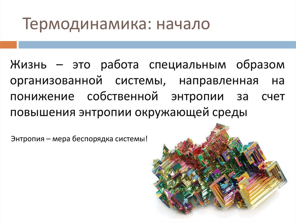 Специальным образом организованная. Точки зрения термодинамики мы относимся.