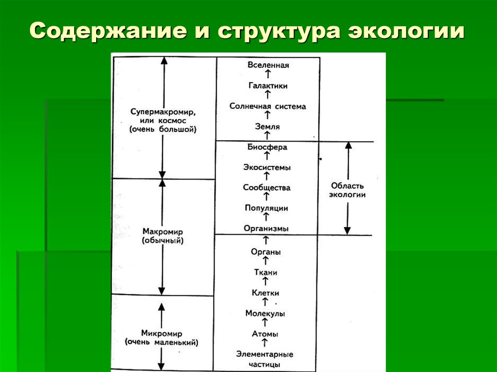 Окружающей среды с точки зрения. Сферы экологии схема. Введение в экологию схема. Структура экологической аксиоматики схема. Уровни организации экологической иерархии.