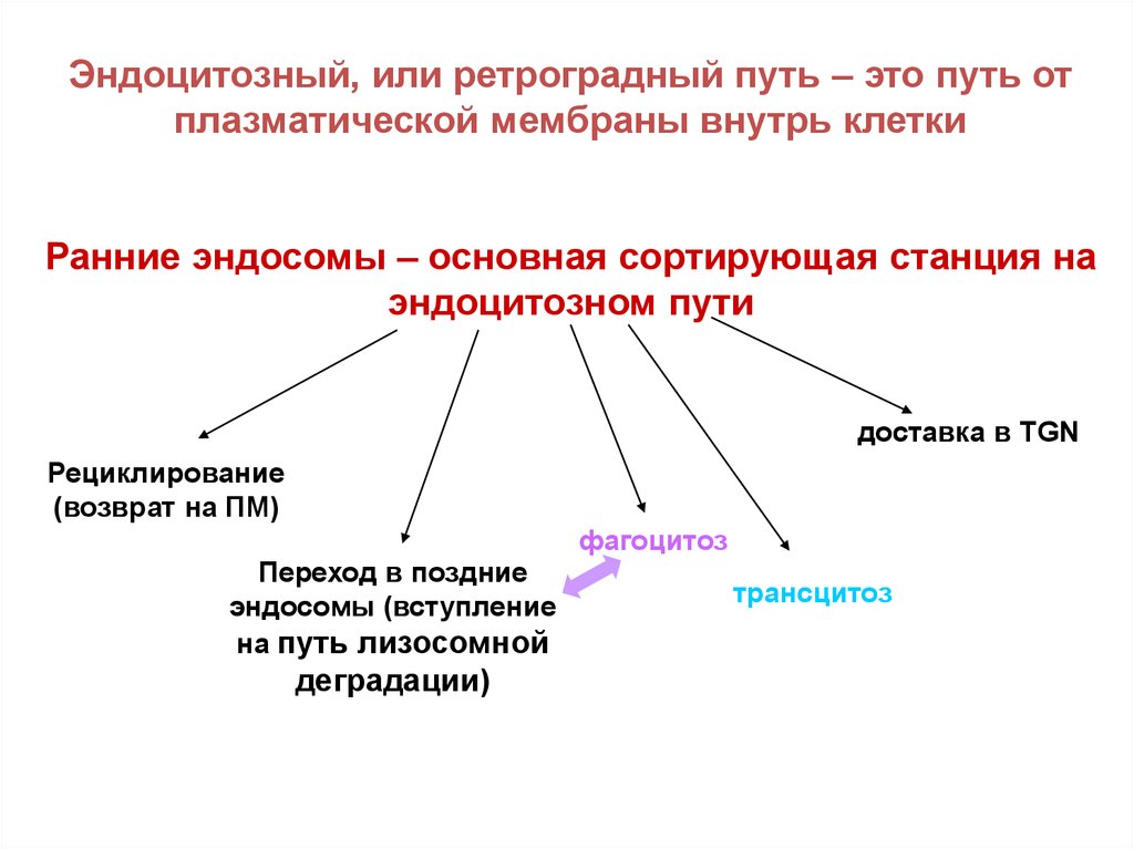 Путь это