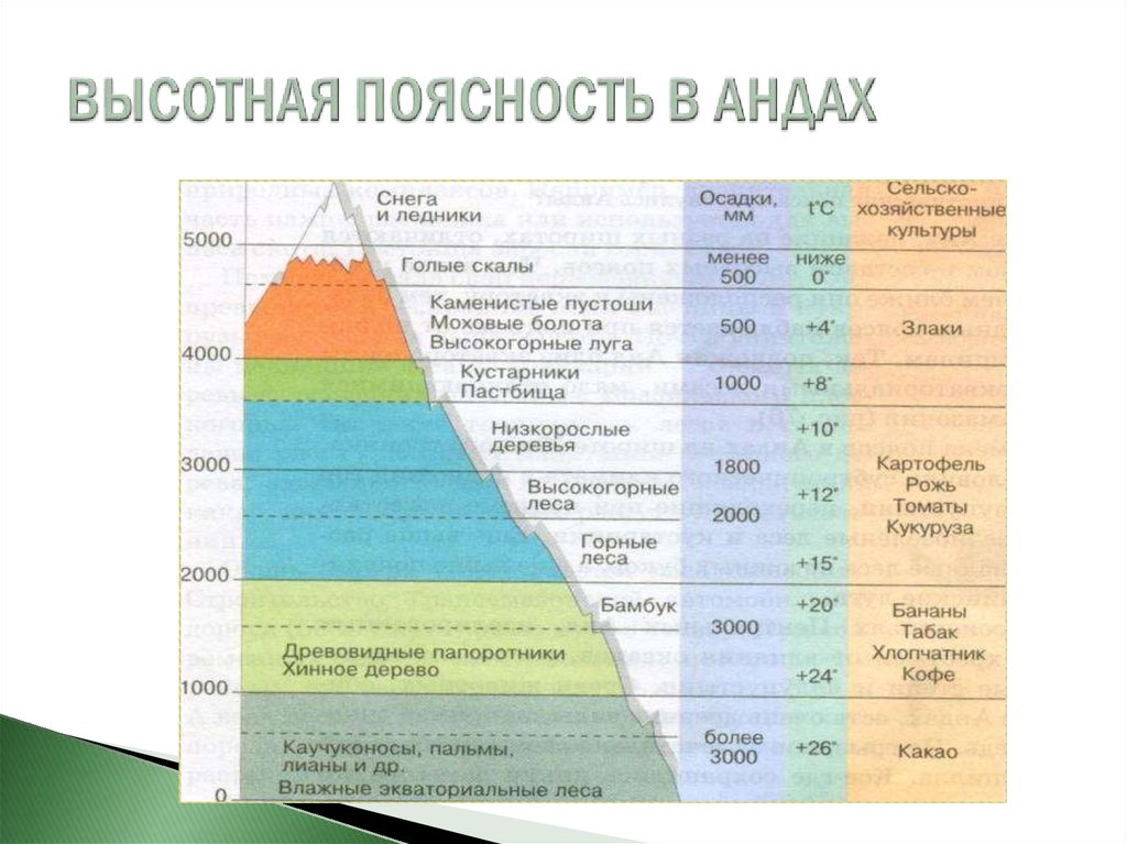 Рисунки высотной поясности