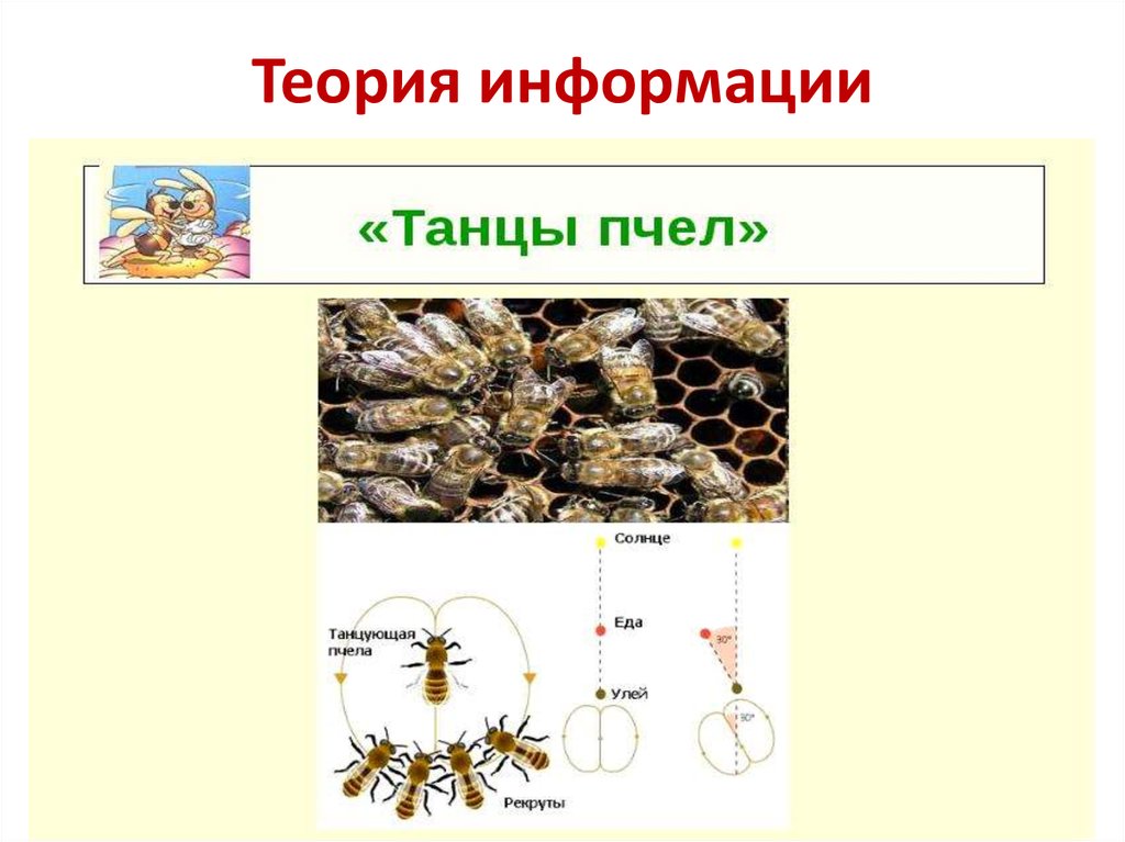 Теория информации