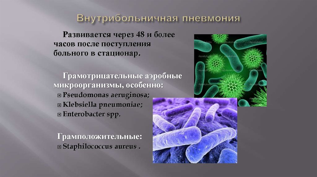 Микробиологические на аэробные микроорганизмы. Внутрибольничная Госпитальная пневмония возбудитель. Грамотрицательные бактерии аэробы. Внутрибольничная пневмония синегнойная палочка. Пневмония вызванная грамотрицательными бактериями.