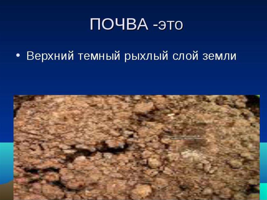 Почва 4 класс окружающий. Почва нашего края. Почвы Ставропольского края. Какие почвы в нашем крае. Основные сведения о почвах нашего края.