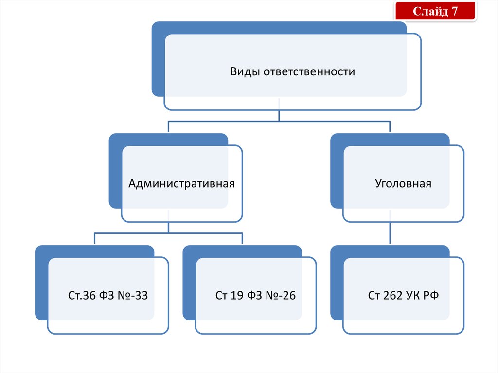 Виды правовых режимов. Виды ГС. 262 УК РФ. 262 УК РФ вид санкции. 1 Слайд.