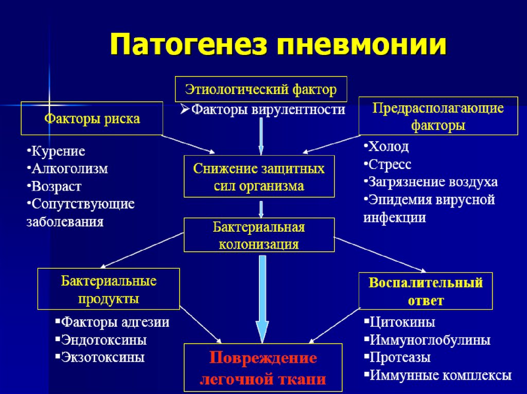 Начальным звеном патогенеза является. Этиология хронической пневмонии. Ключевые звенья патогенеза пневмонии у детей. Долевая пневмония этиология. Деструктивная пневмония этиология.