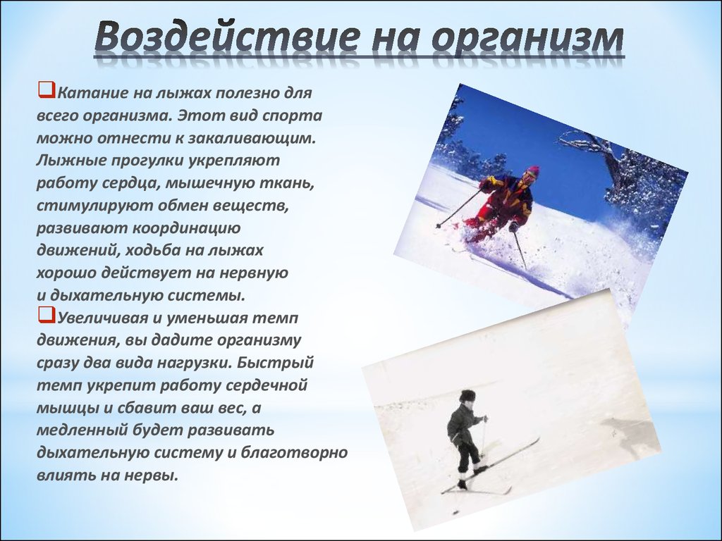 Виды Лыжного Спорта Реферат