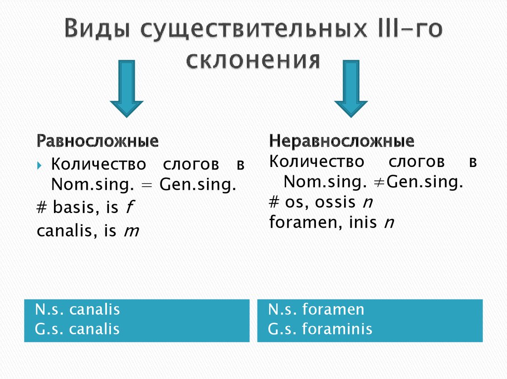 Словарная форма в латинском. Виды существительных. Равносложные и неравносложные существительные в латинском языке. Виды существительного. Как определить вид существительного.