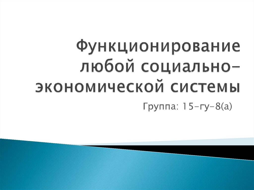 Функционирование любой системы. Функционирование любой системы