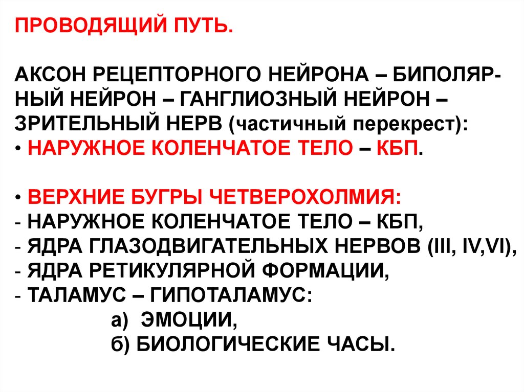 Физиология анализаторов физиология презентация