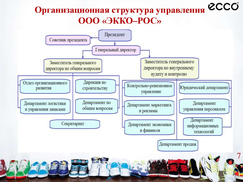 Ооо отдел. Организационная структура ООО экко-рос. Организационная структура экко рос. Ген директор экко рос. Форма управления ООО.