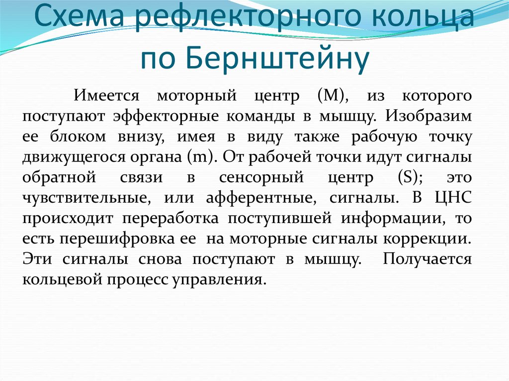 Схема рефлекторного кольца по бернштейну