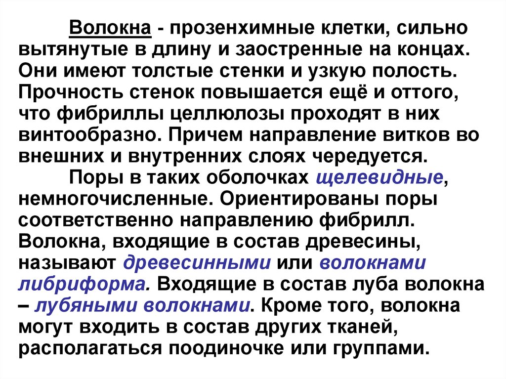 Прочность стенки. Волокна либриформа. Волокна – сильно вытянутые клетки с … Стенками.. Сильно вытянутые клетки с толстыми стенками придают листу прочность?. Клетки сильно вытянутые в длину.