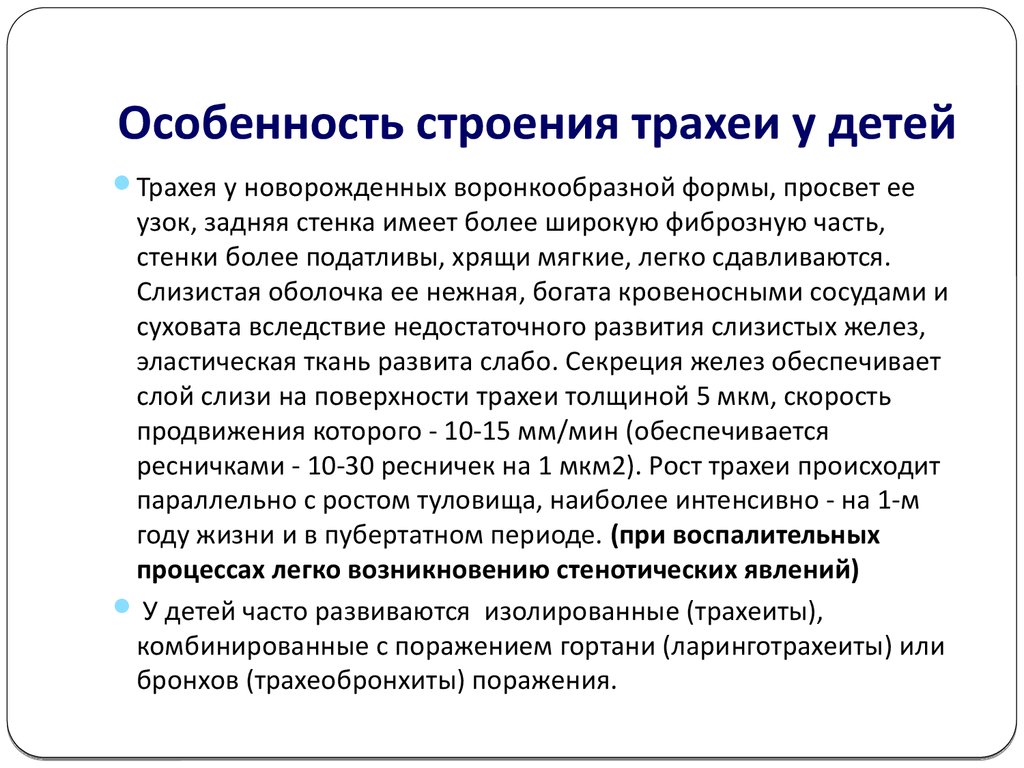 Клинический трахеит. Особенности строения трахеи. Особенности строения трехаеии.