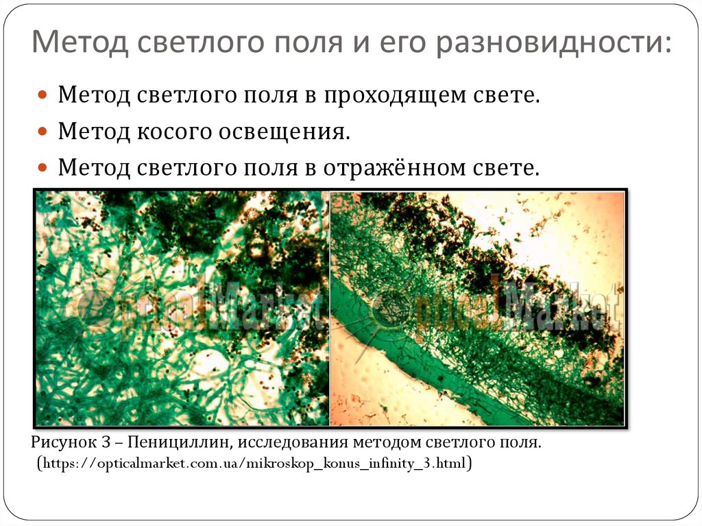 Микроскопия в светлом поле