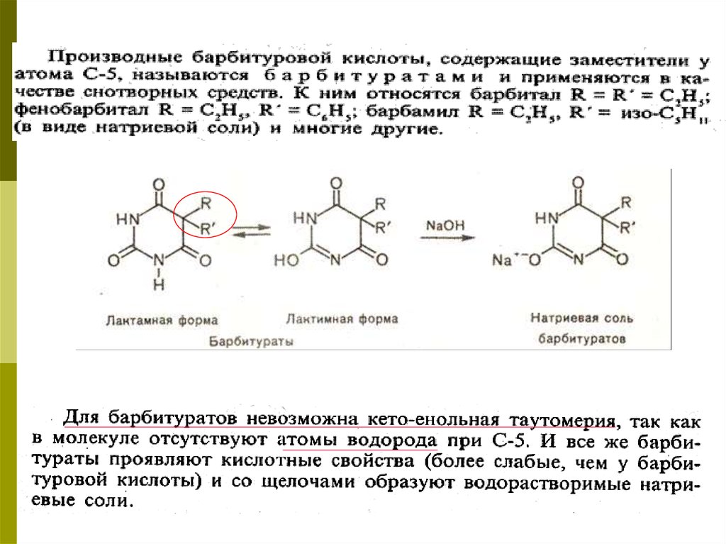 Барбамил что это