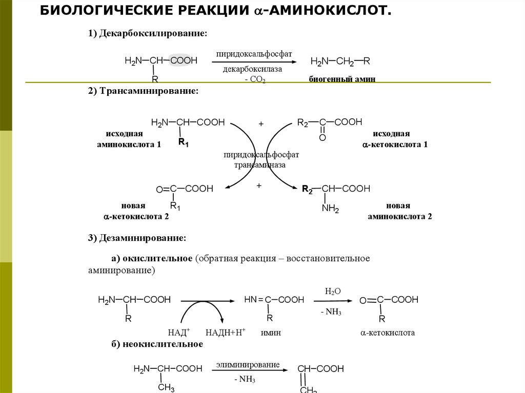 Белки характерные реакции. Биологические реакции. Реакции в биологии. Биологический реакция аминокислот. Типы реакций в биологии.