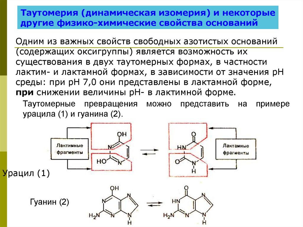 Физико химические свойства среды. Таутомерия гетероциклических соединений. Лактим-лактамная таутомерия нуклеиновых оснований. Таутомерия органических соединений. Таутомерные превращения нуклеиновых оснований.