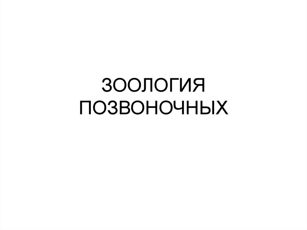 Зоология любви. Зоология позвоночных. Наумов Карташов Зоология позвоночных. Зоология позвоночных картинки. Дзержинский Зоология позвоночных с латинскими названиями.