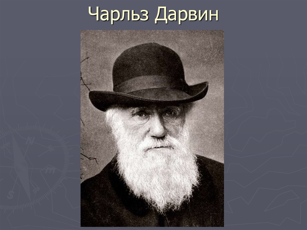 Чарльз Дарвин
