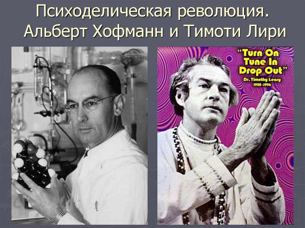 Психоделическая революция. Альберт Хофманн и Тимоти Лири