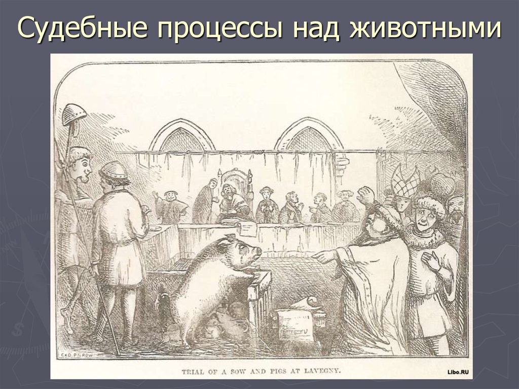 Судебные процессы над животными