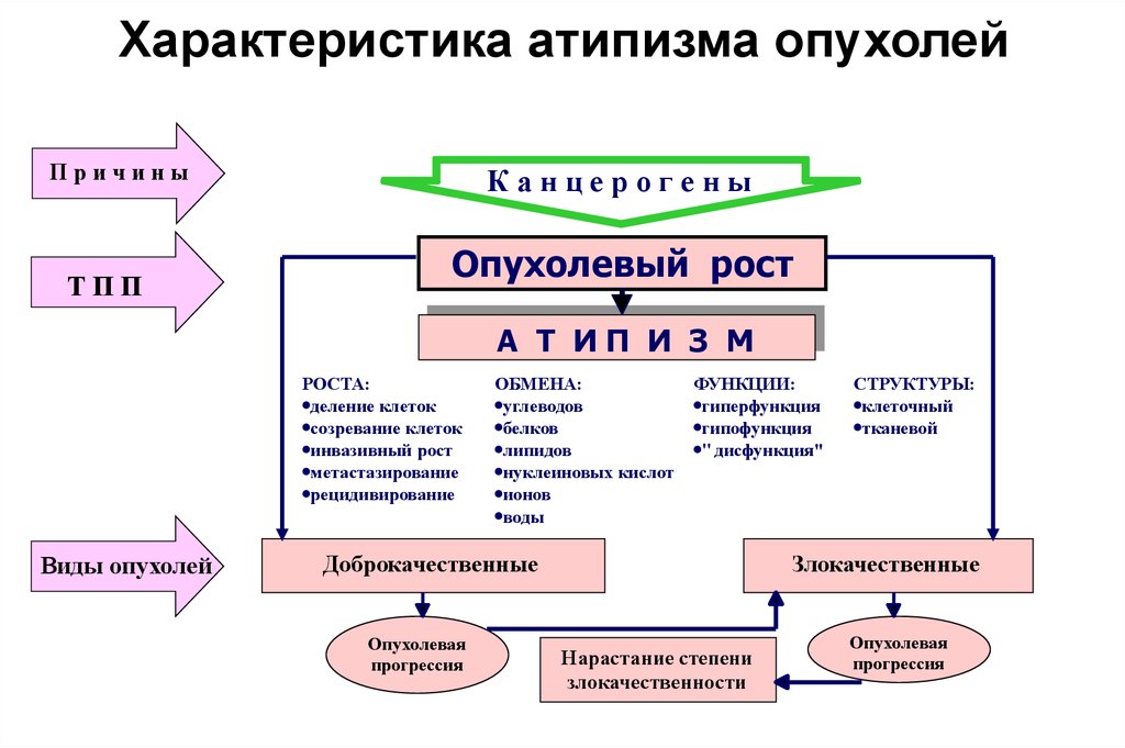 Реферат: Патология тканевого роста Опухоли