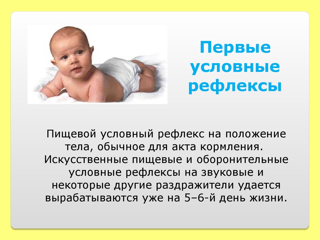 Условной пищевой. Условные рефлексы новорожденного. Что такое первые условные рефлексы?. Первые условные рефлексы у детей. Условные рефлексы ребенка грудного возраста.