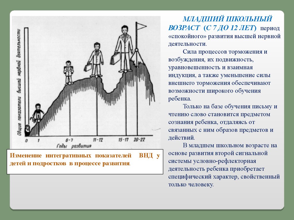 Период изменения. Виды условного возраста. Возрастные изменения ВНД. Развитие высшей нервной деятельности. Условный Возраст это.