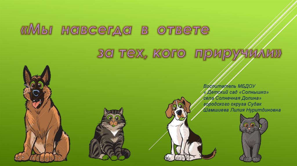 В ответе за них. Мы в ответе за тех кого приручили картинки. Листовка мы в ответе за тех. Листовка мы в ответе за тех кого приручили 5 класс. Мы за них в ответе.