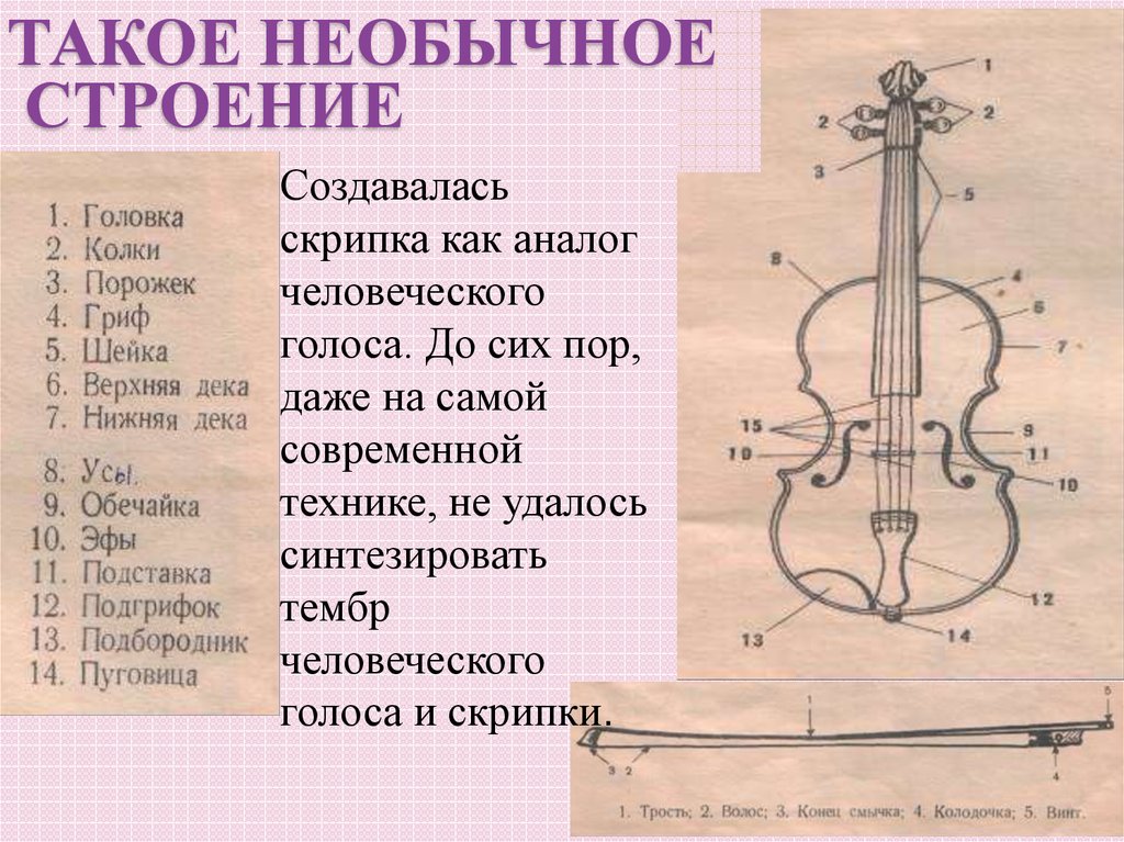 Скрипка имеет. Строение скрипки. Составляющие скрипки. Подробное строение скрипки. Строение виолончели.