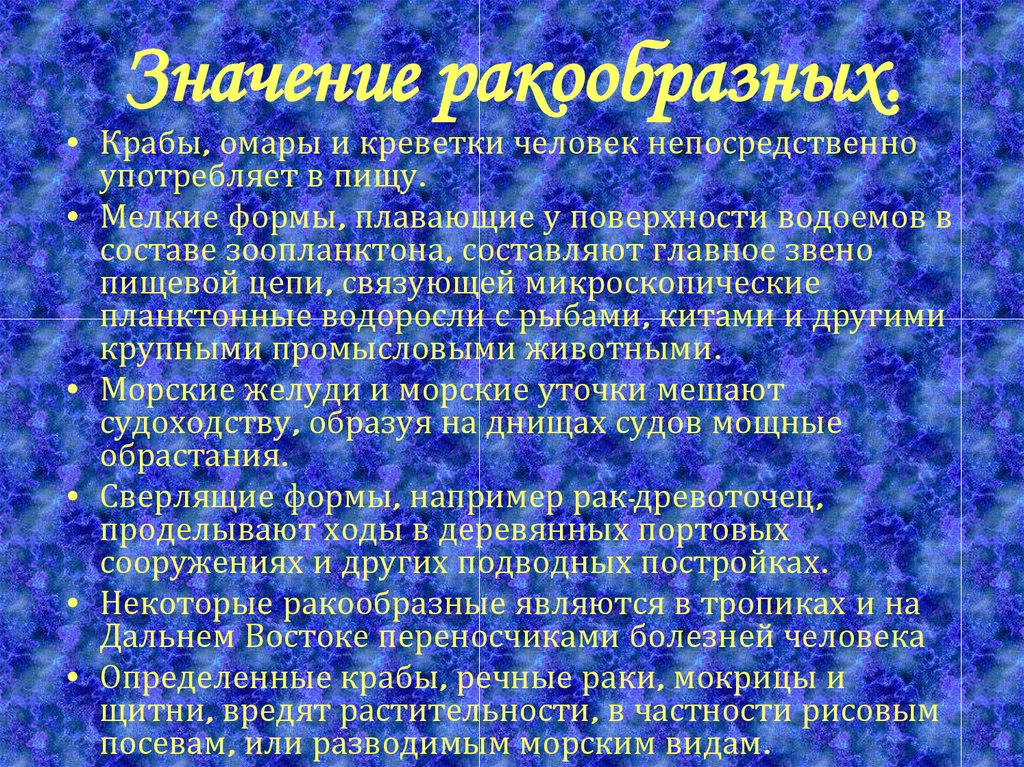 Значение ракообразных в природе. Значение крабообразных. Значение ракообразных в природе и жизни человека. Роль ракообразных в природе.