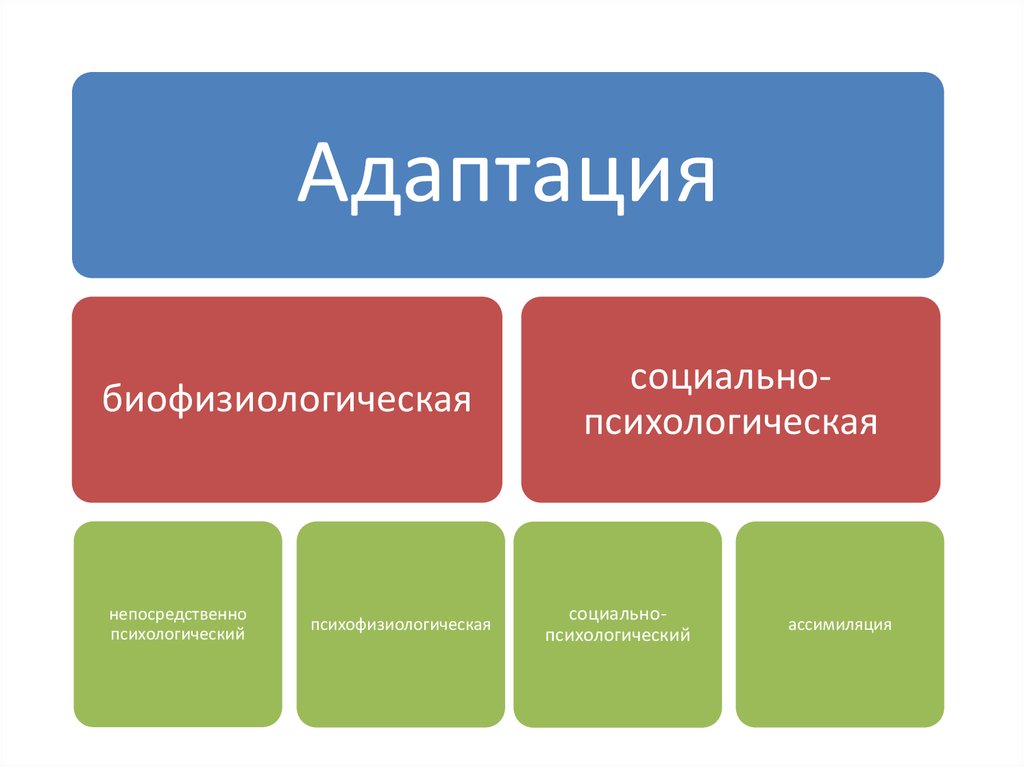 Адаптация изображения на сайте