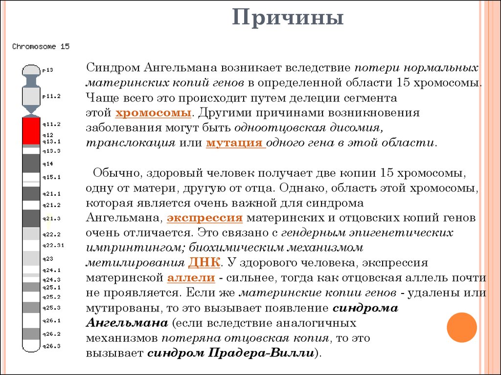 Синдром ангельмана презентация по генетике