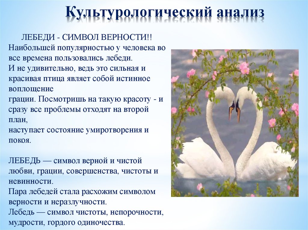 Символ верности в россии. Легенда о лебедях. Символ любви и верности. Верность лебедей. Что символизирует лебедь.