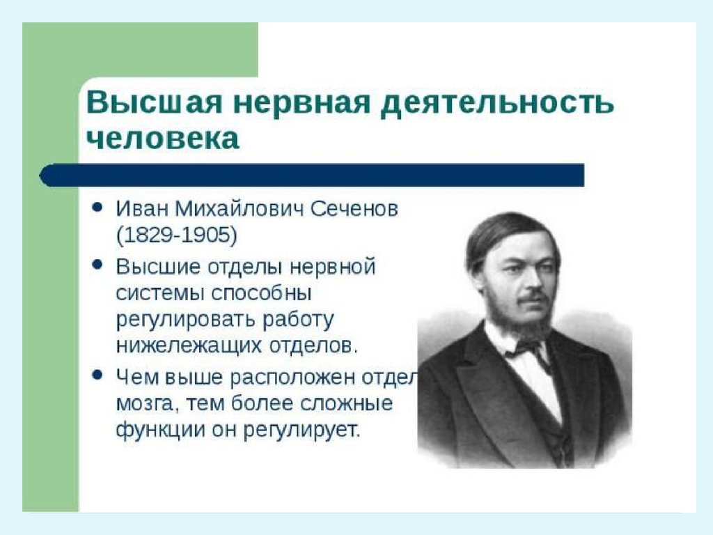 Высшая нервная деятельность человека. Иван Михайлович Сеченов ВНД. Презентация на тему Сеченов Иван Михайлович. Высшая нервная деятельность человека характеризуется. Специфическая Высшая нервная деятельность человека.